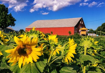 Hampshire County, MA