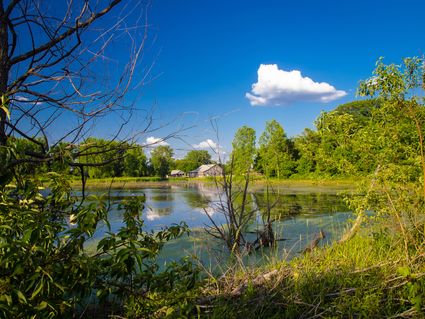 Lake County (Central) PUMA, IN